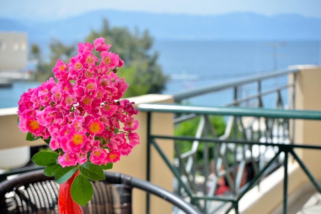 Evia Studios Loutra Edipsou  Zimmer foto